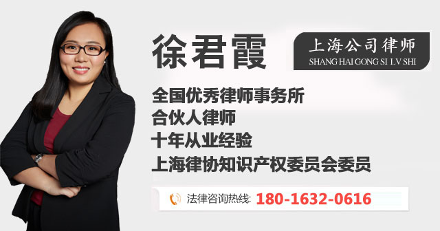 上海公司律师