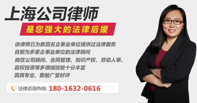 上海公司律师